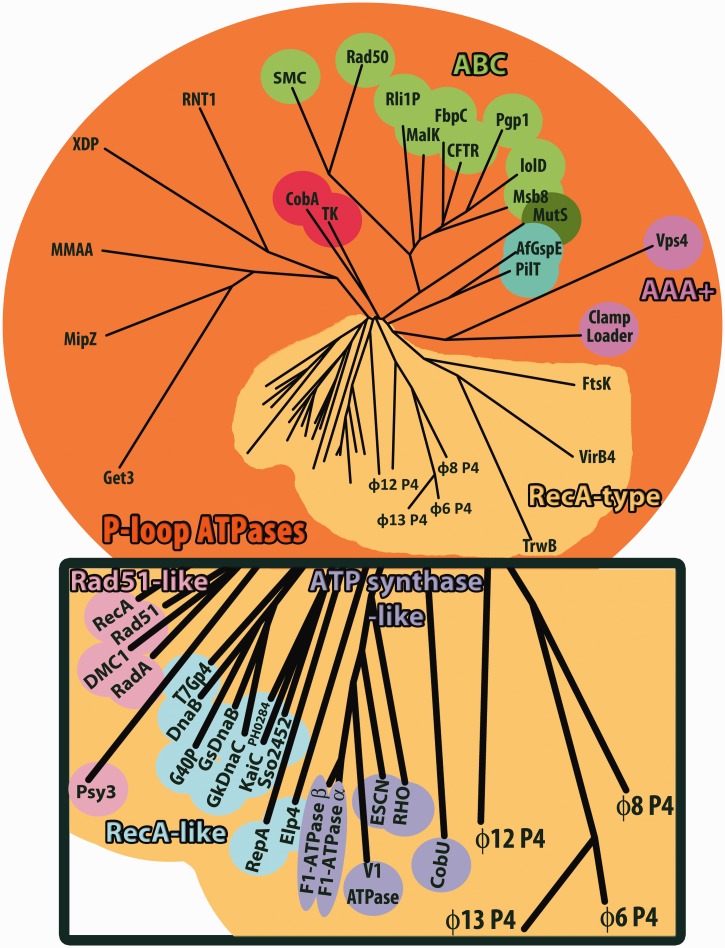 Figure 4.