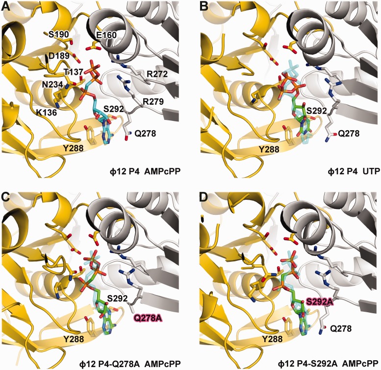 Figure 6.