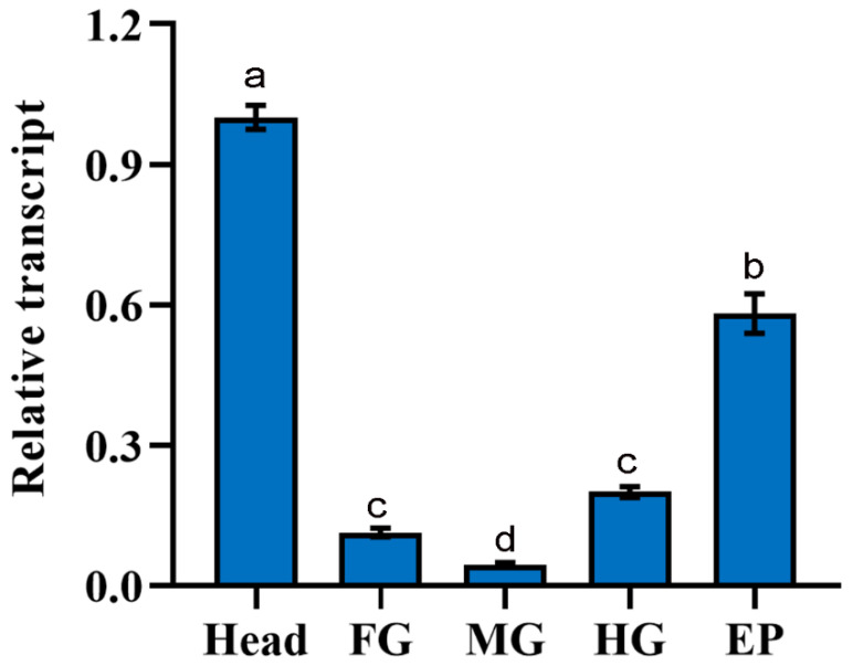 Figure 6