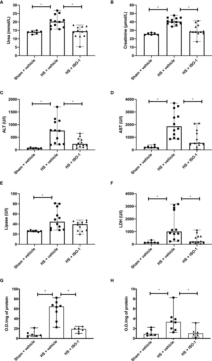 Figure 6