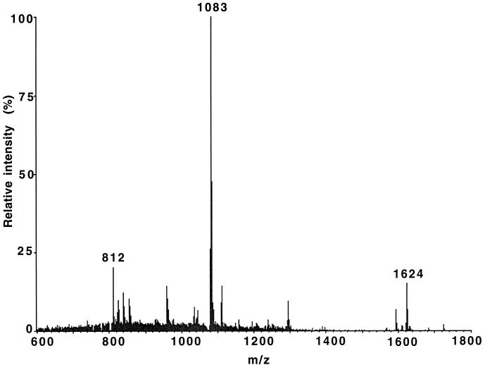 FIG. 3