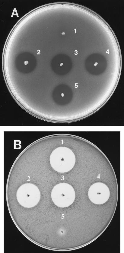 FIG. 4