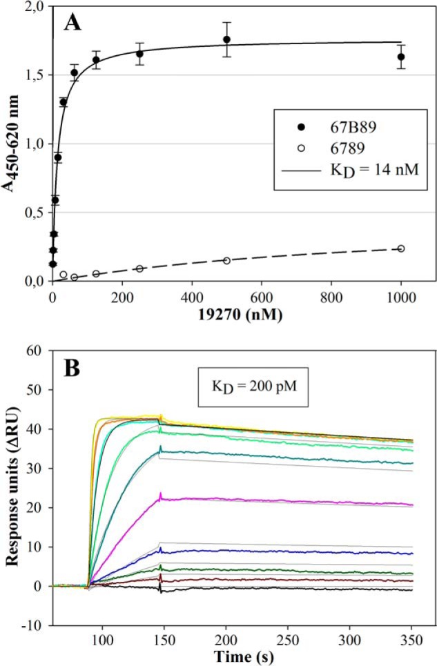 FIGURE 4.