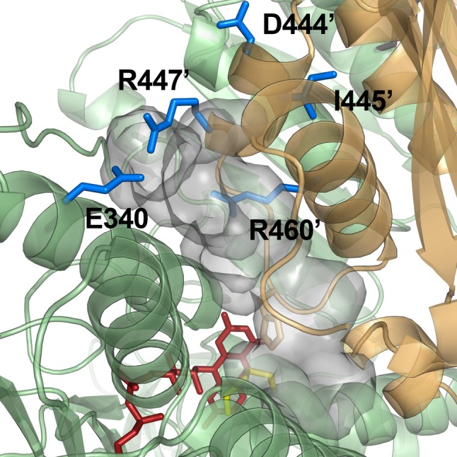 Fig. 2