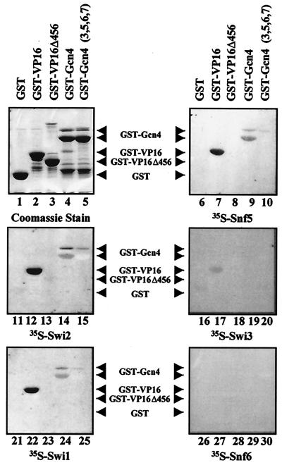 FIG. 6.