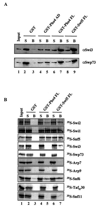 FIG. 7.