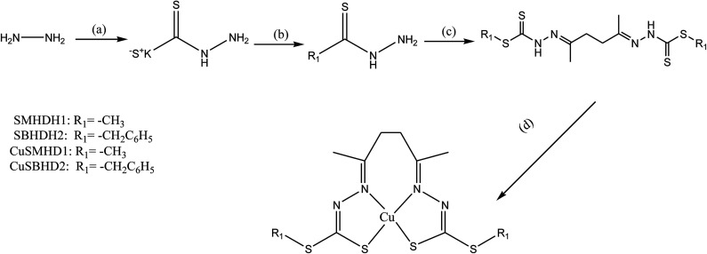 Scheme 7