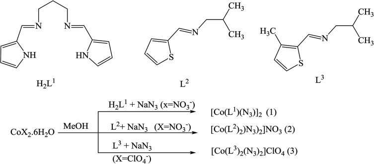 Scheme 5