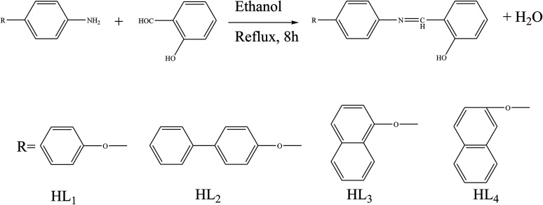 Scheme 4