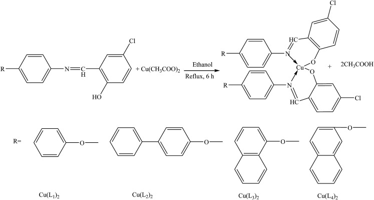 Scheme 1