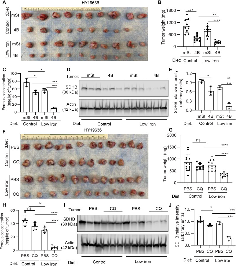 Fig. 10.