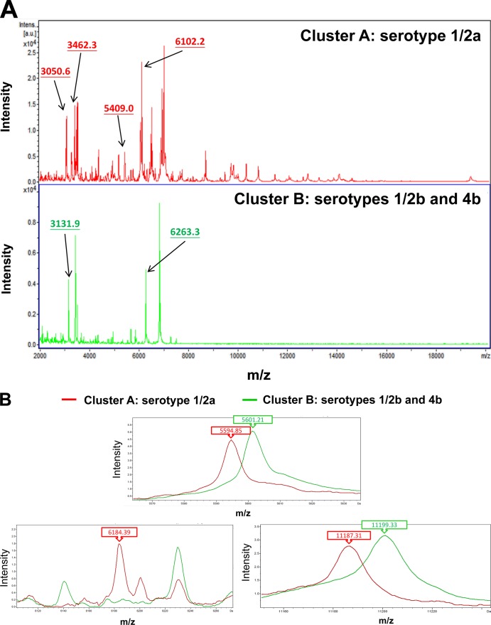 FIG 2