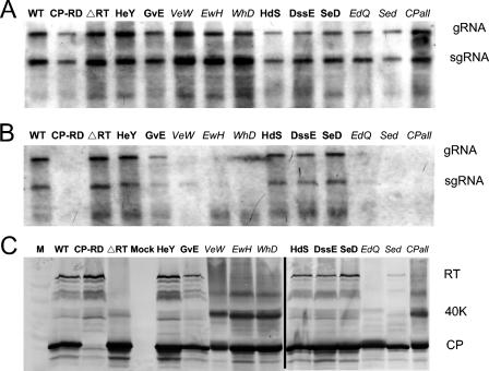 FIG. 2.