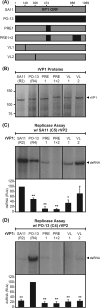 FIG 10