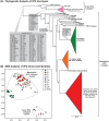 FIG 3