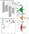 FIG 2