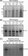 FIG 6