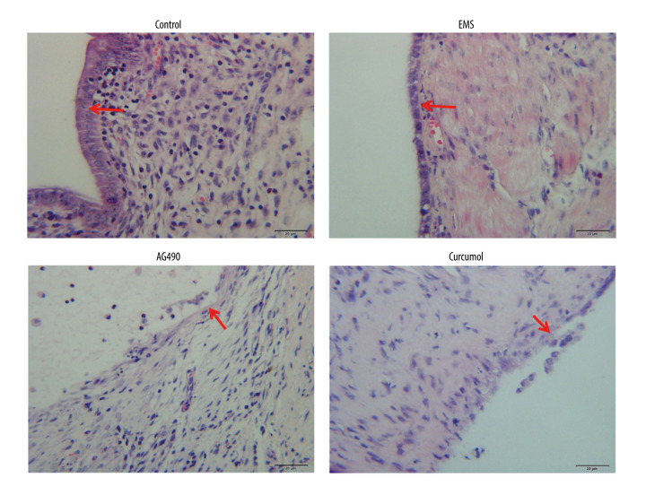 Figure 10