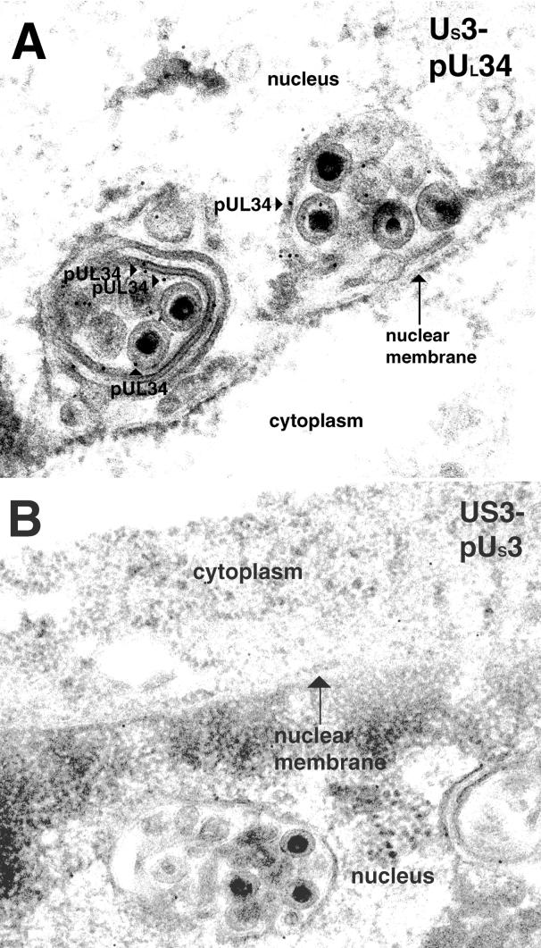 FIG. 7.