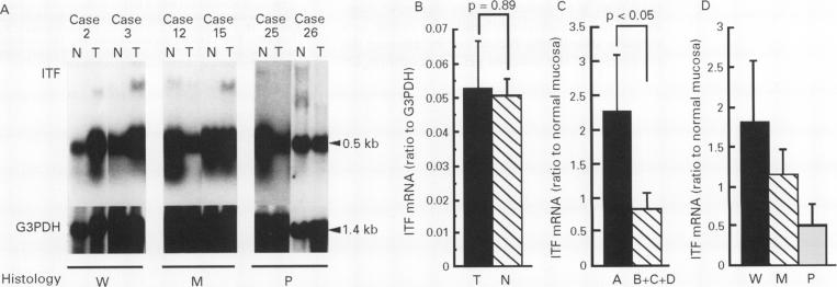 graphic file with name jclinpath00260-0049-a.jpg