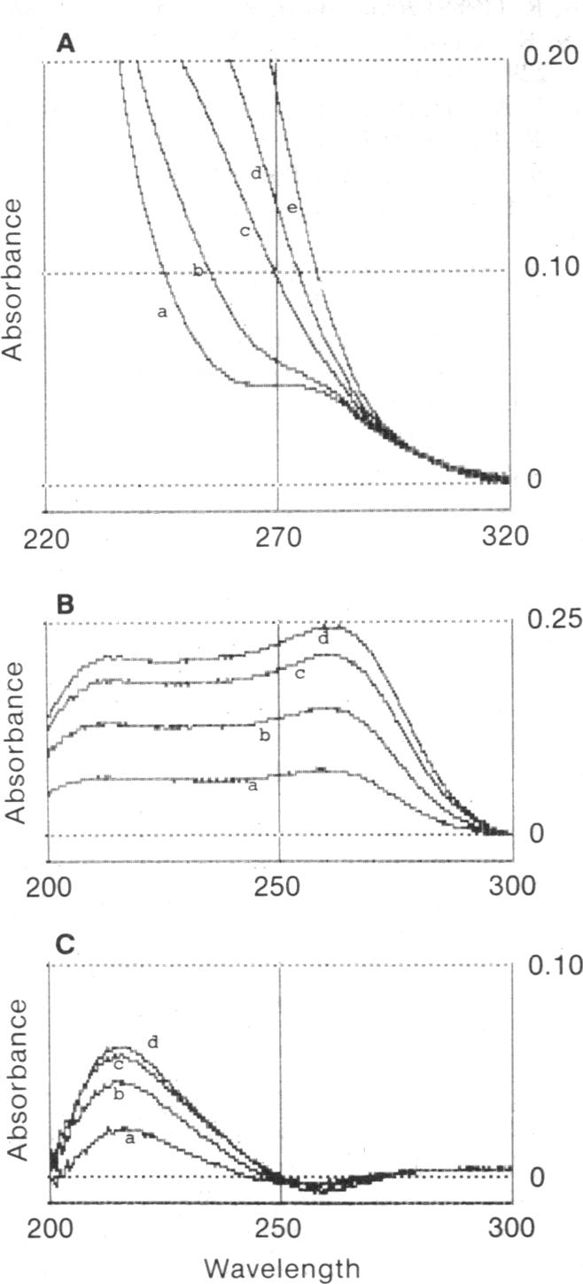 graphic file with name pnas01043-0114-a.jpg