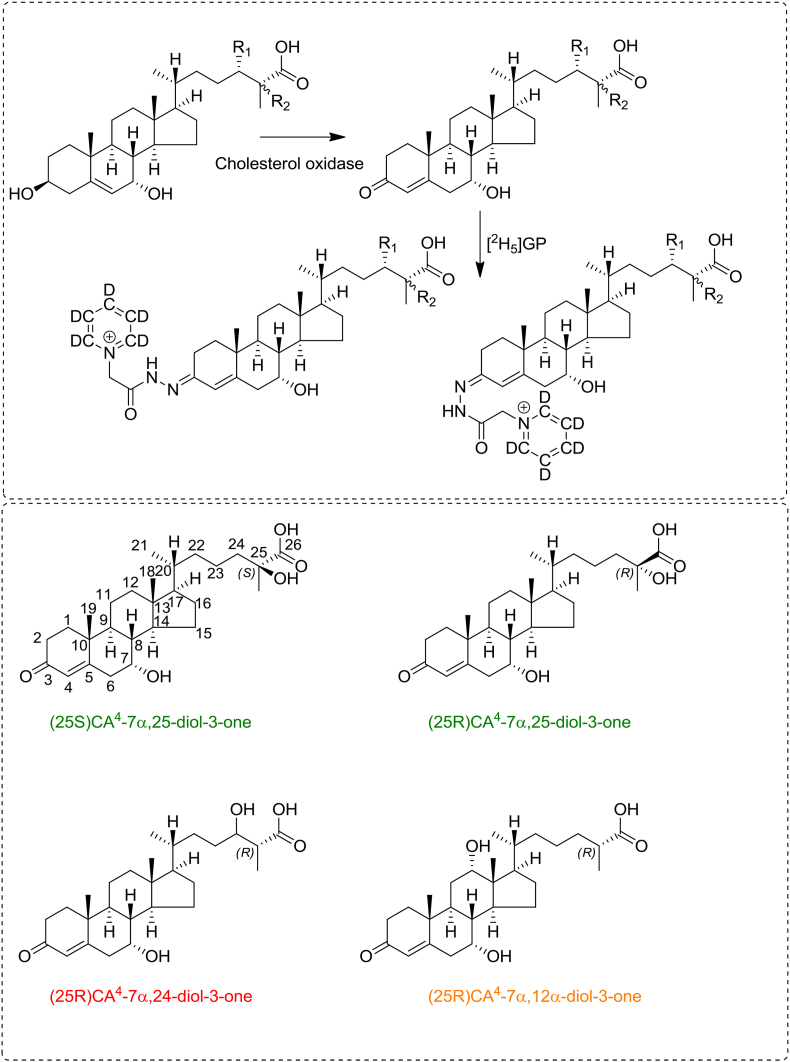 Fig. 2