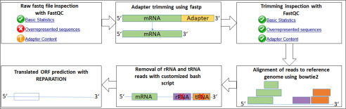 Figure 6.