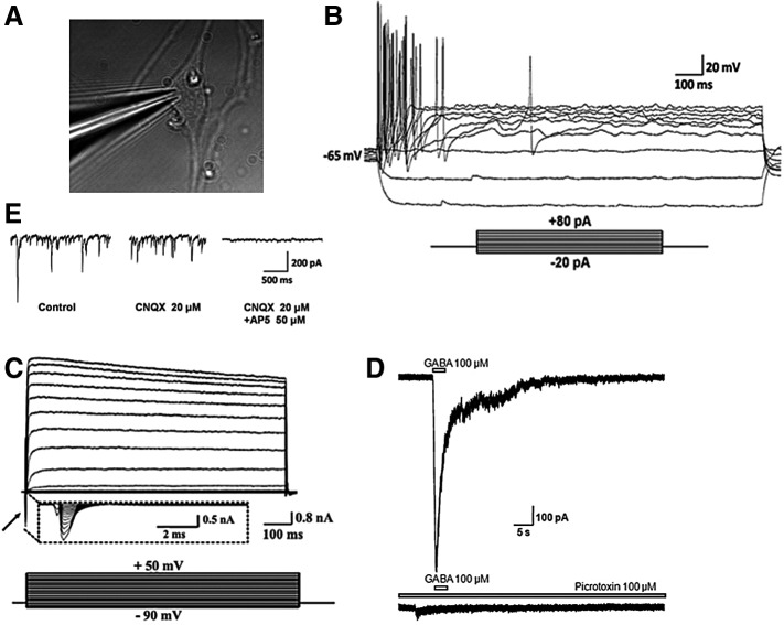 FIG. 4.