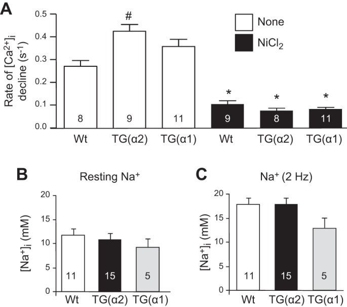 Fig. 8.