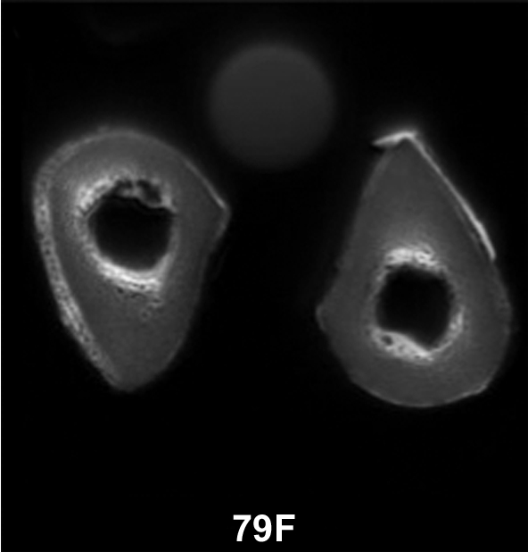 Figure 3c: