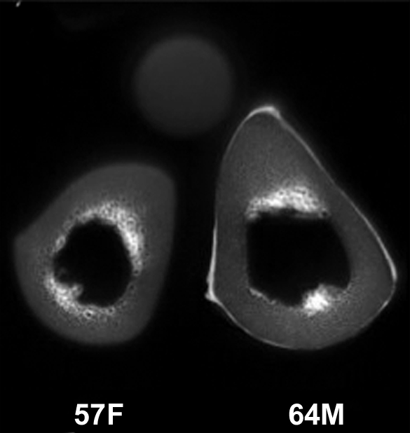 Figure 3a: