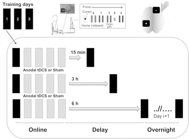 Figure 1.