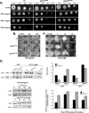 Fig 8