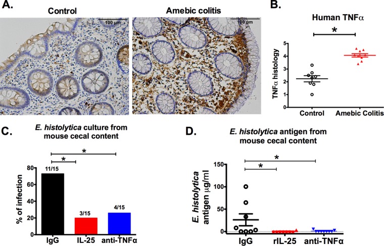 FIG 6 