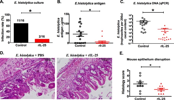 FIG 2 