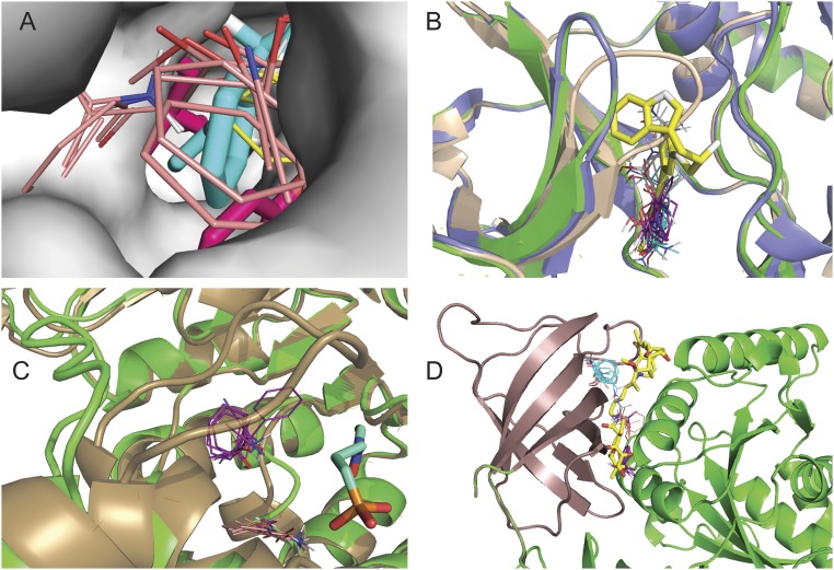 Fig. 2.