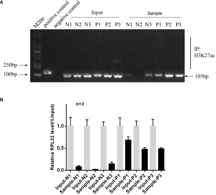 Figure 6