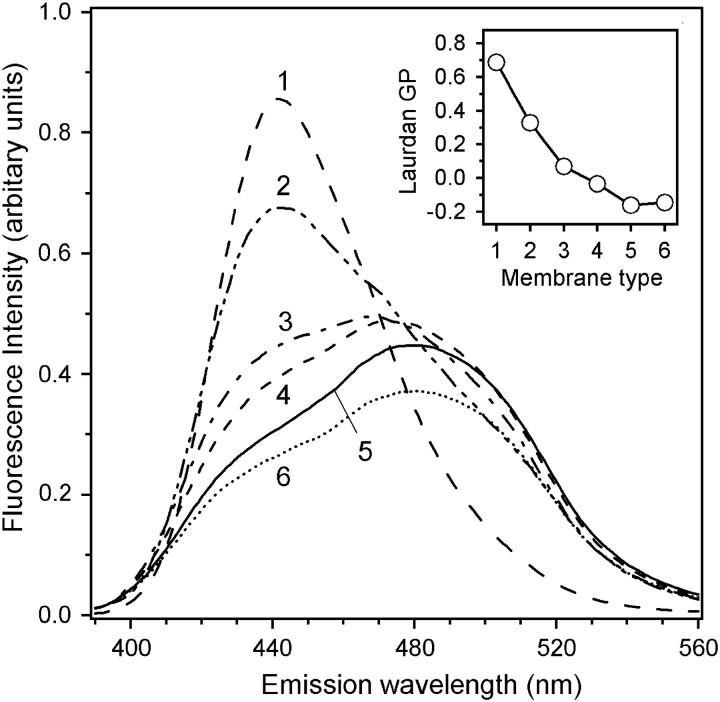 FIGURE 3