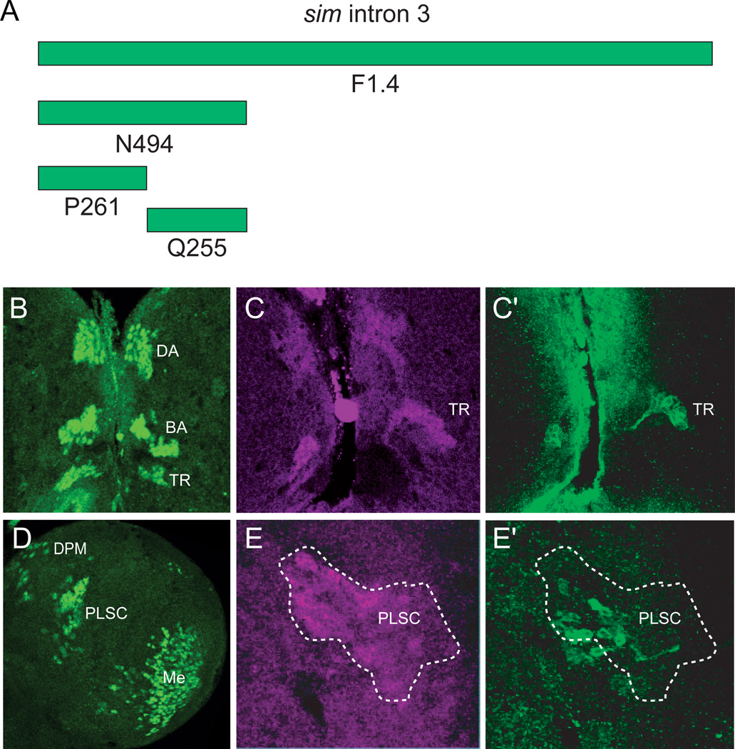 Fig. 6