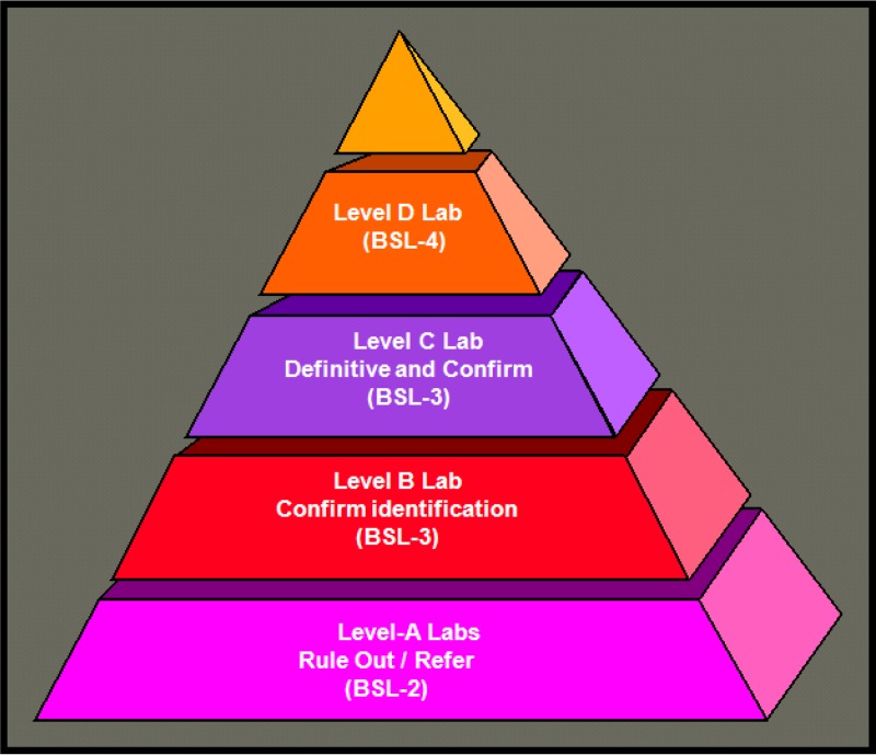 FIG 1