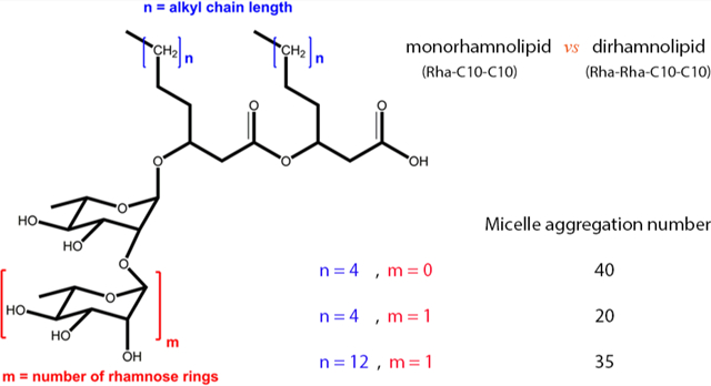 graphic file with name nihms-1562384-f0001.jpg