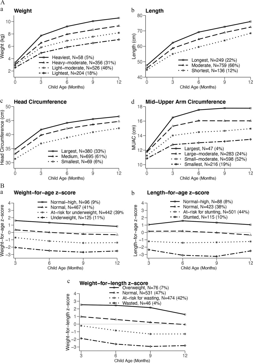 Figures 2A(a) to 2A(d) are line graphs titled Weight, Length, Head circumference, and Mid-upper arm circumference, plotting Weight (kilogram), ranging from 2 to 10 in increments of 2; Length (centimeter), ranging from 40 to 80 in increments of 10; head circumference (centimeter), ranging from 30 to 50 in increments of 5; and Mid-upper arm circumference, ranging from 10 to 18 in increments of 2 (y-axis) across Child age (months), ranging from 0 to 12 in increments of 3 (x-axis) for heaviest, heavy-moderate, light-moderate, and lightest; longest, moderate, and shortest; largest, medium, and smallest; and largest, large-moderate, small-moderate, and smallest, respectively. Figures 2B(a) to 2B(c) are line graphs titled Weight for age lowercase z score, Length for age lowercase z score, and Weight for length lowercase z score, plotting Weight for age lowercase z score, Length for age lowercase z score, and Weight for length lowercase z score ranging from negative 3 to 4 in unit increments (y-axis) across Child Age (months), ranging from 3 to 12 in increments of 3 (x-axis) for normal to high, normal, at risk for underweight, and underweight; normal to high, normal, at risk for stunting, and stunted; overweight, normal, at risk for wasting, and wasted, respectively.