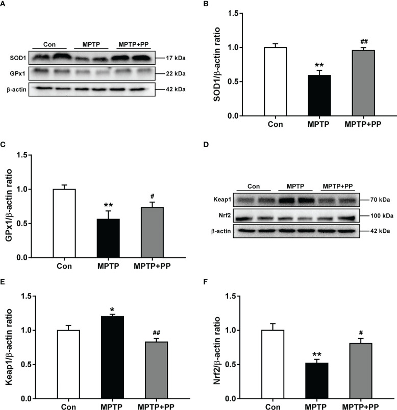 Figure 3