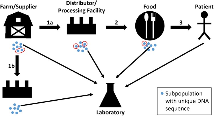 FIGURE 1