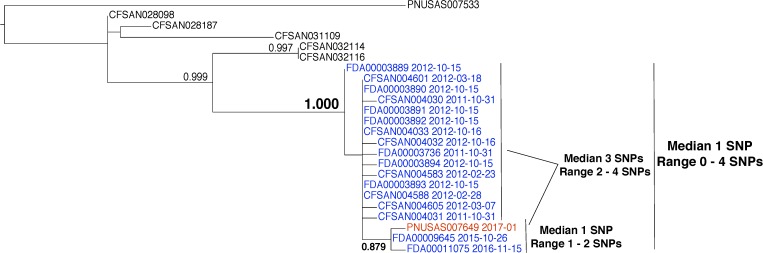 FIGURE 5