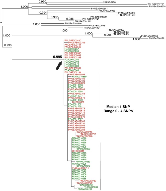 FIGURE 3