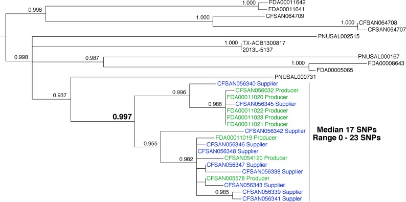 FIGURE 4