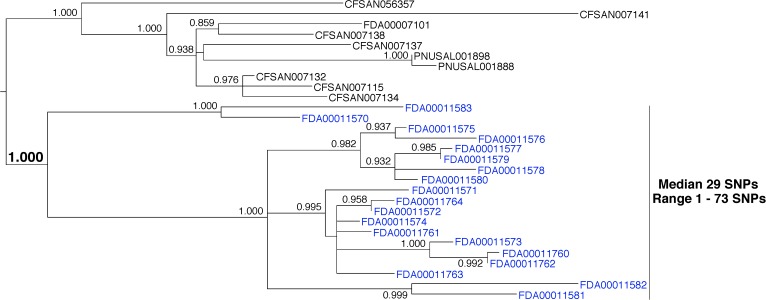 FIGURE 6