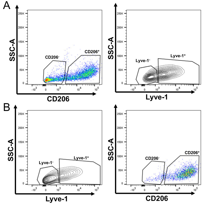 Figure 3—figure supplement 1.