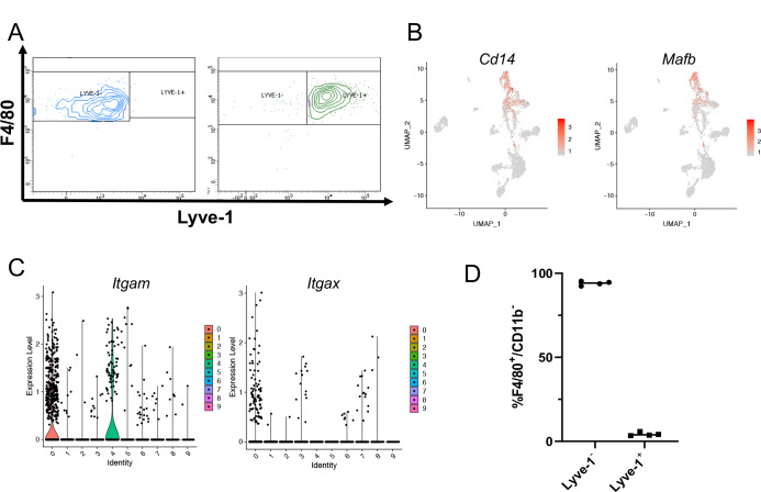 Figure 2—figure supplement 1.